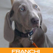 Franchi, Sempre Vicini alla Caccia e all Arte Venatoria.